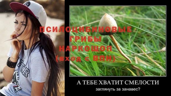 героин Бородино