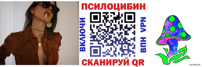Купить  Бодайбо  Псилоцибиновые грибы Psilocybine cubensis 